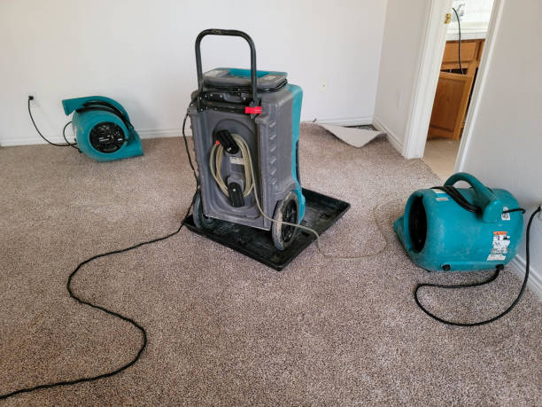 Best Residential water damage restoration  in Senatobia, MS