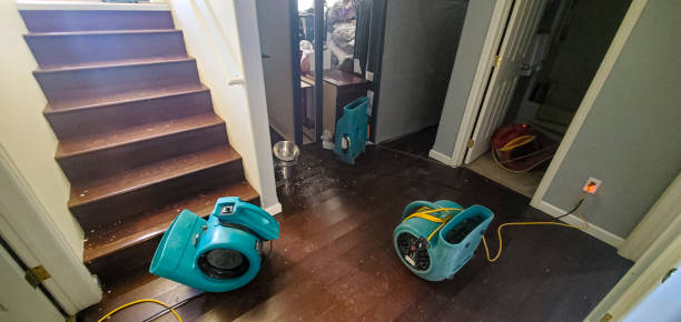 Best Flooded house restoration  in Senatobia, MS