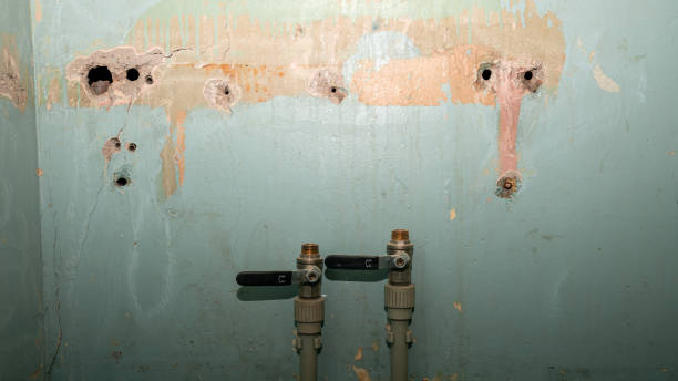 Best Carpet water damage restoration  in Senatobia, MS
