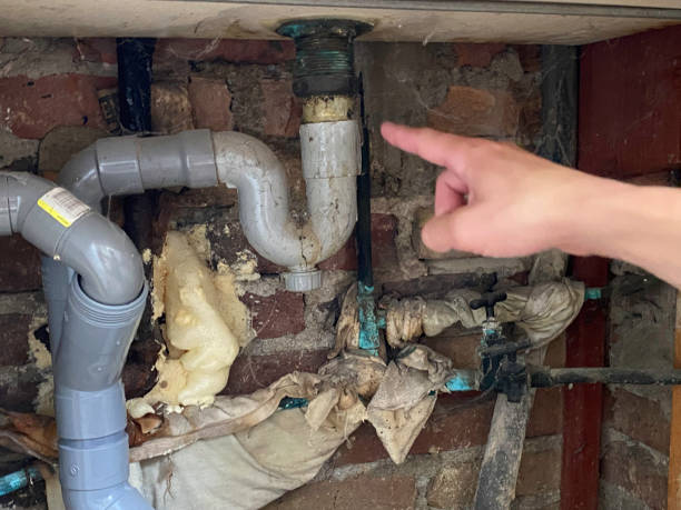 Best 24-hour water damage restoration  in Senatobia, MS