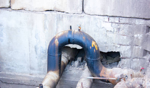 Best Water damage cleanup near me  in Senatobia, MS
