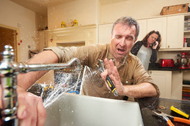 Best Water damage restoration insurance claims  in Senatobia, MS